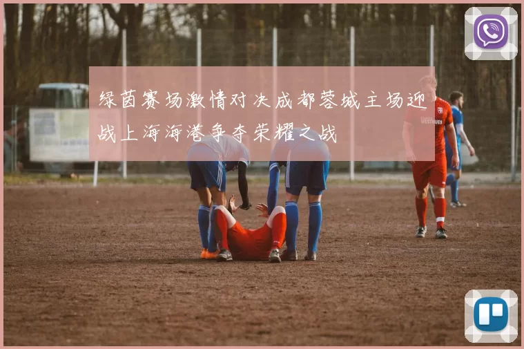 绿茵赛场激情对决成都蓉城主场迎战上海海港争夺荣耀之战